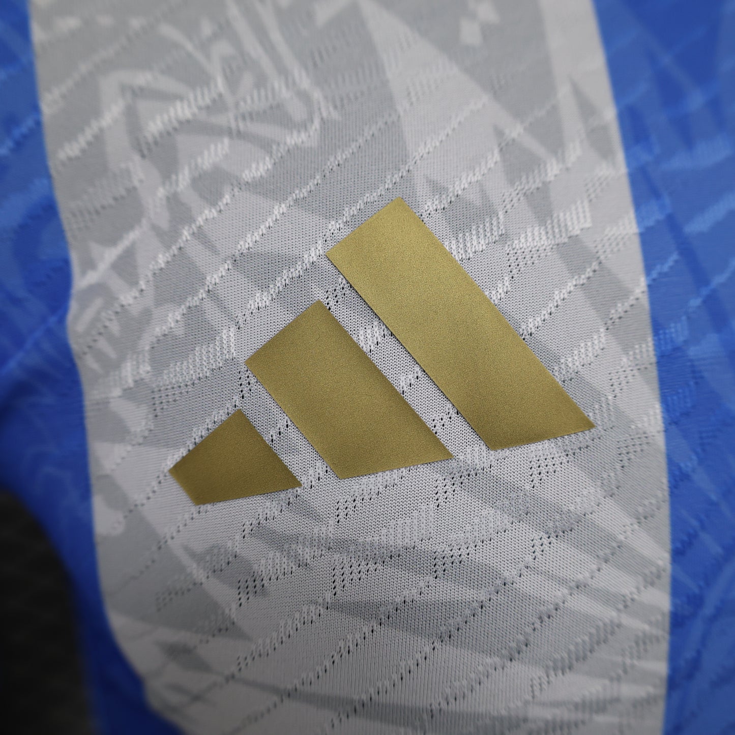 Argentina National Team Special Edition Home Jersey