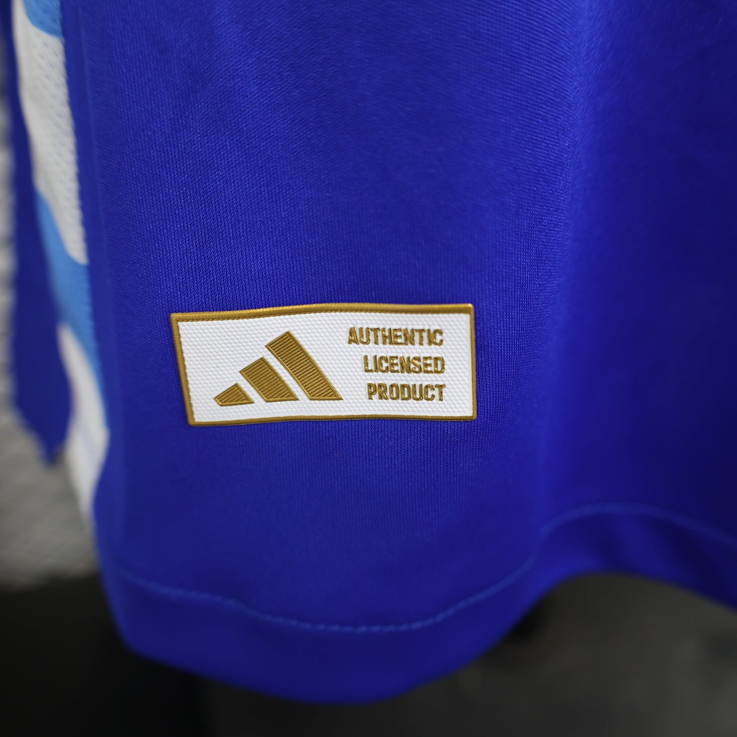 Argentina 2024/25 Home/Away National Team Jersey