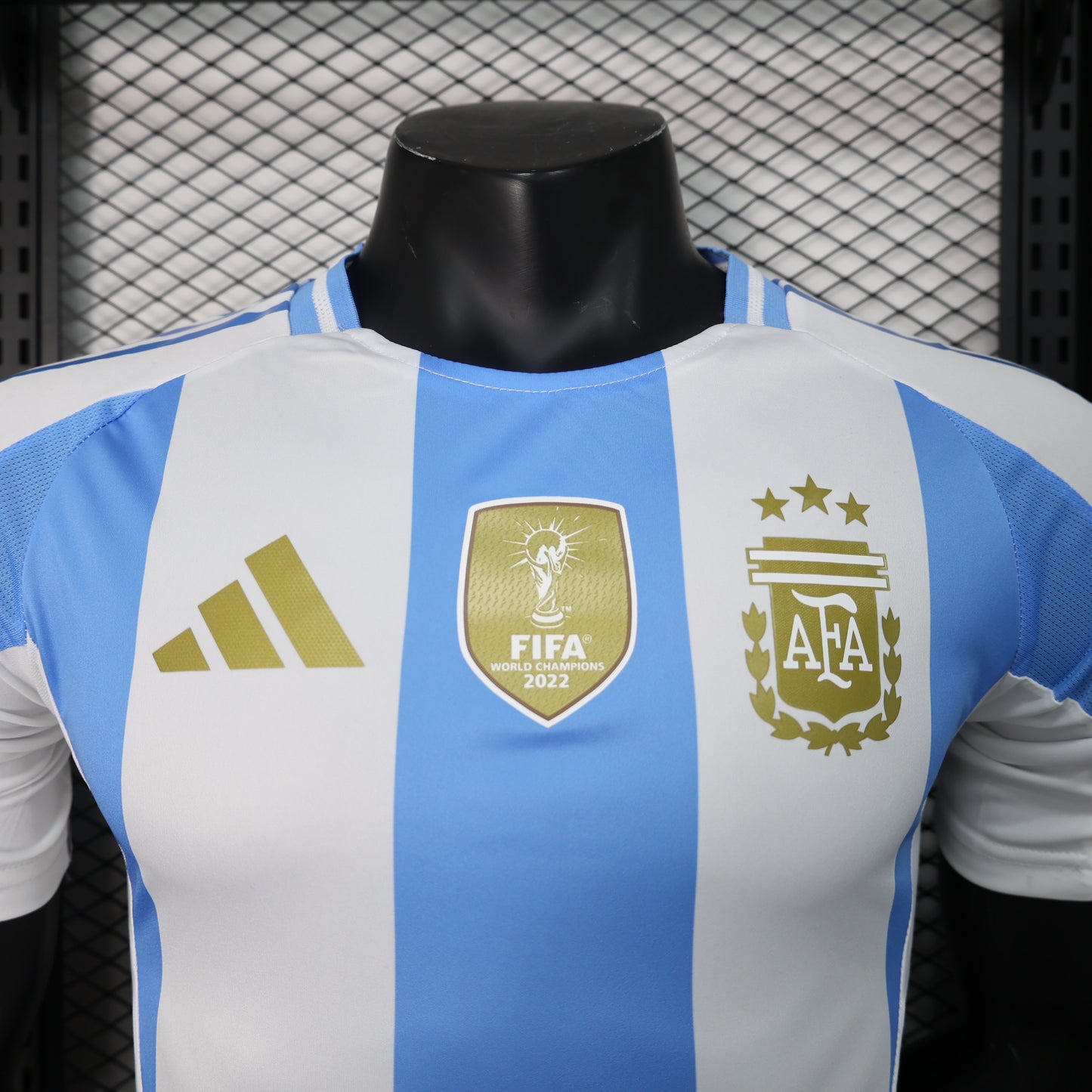 Argentina 2024/25 Home/Away National Team Jersey