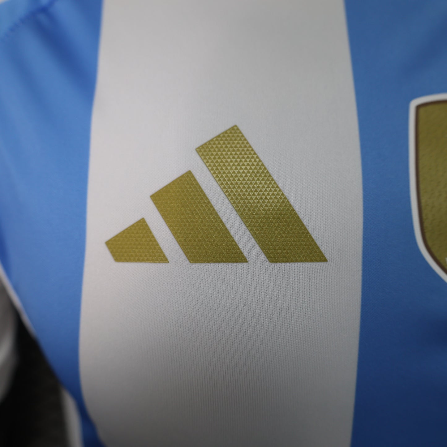 Argentina 2024/25 Home/Away National Team Jersey