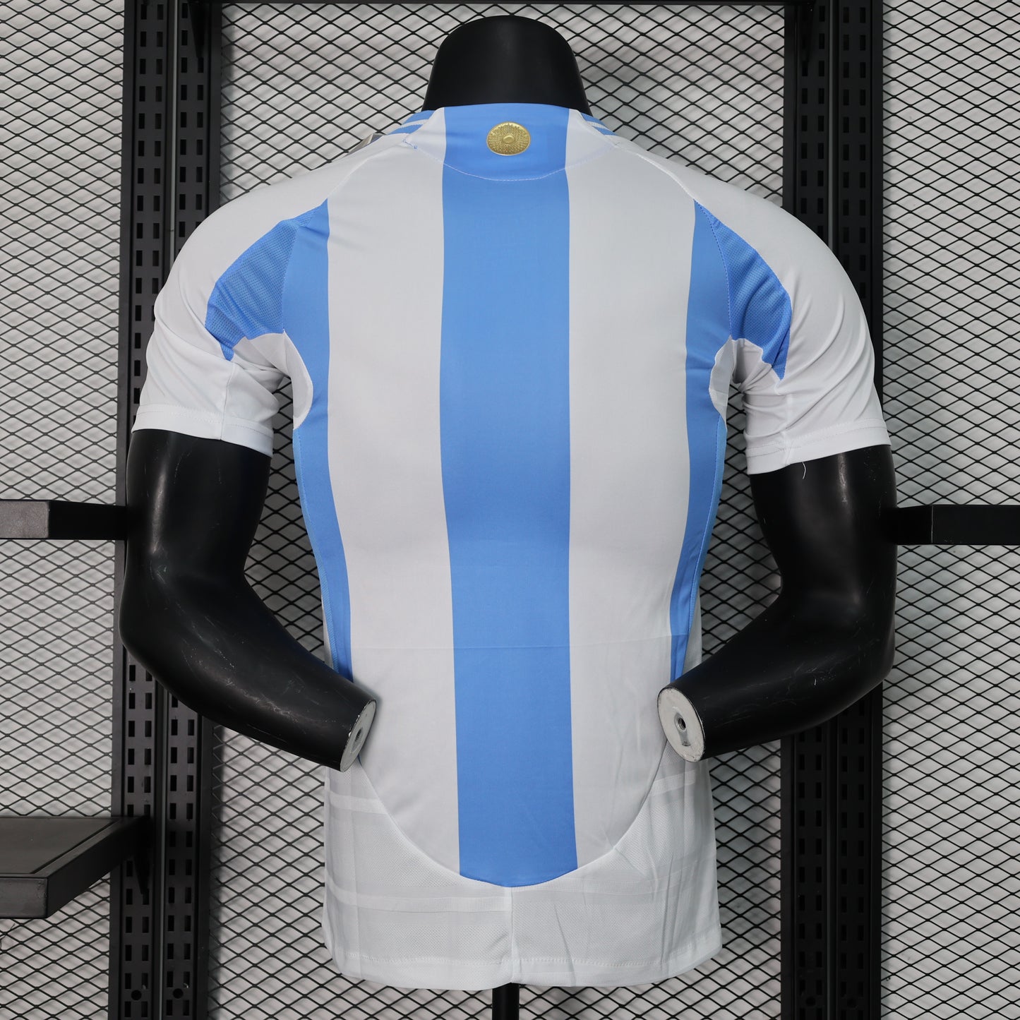 Argentina 2024/25 Home/Away National Team Jersey