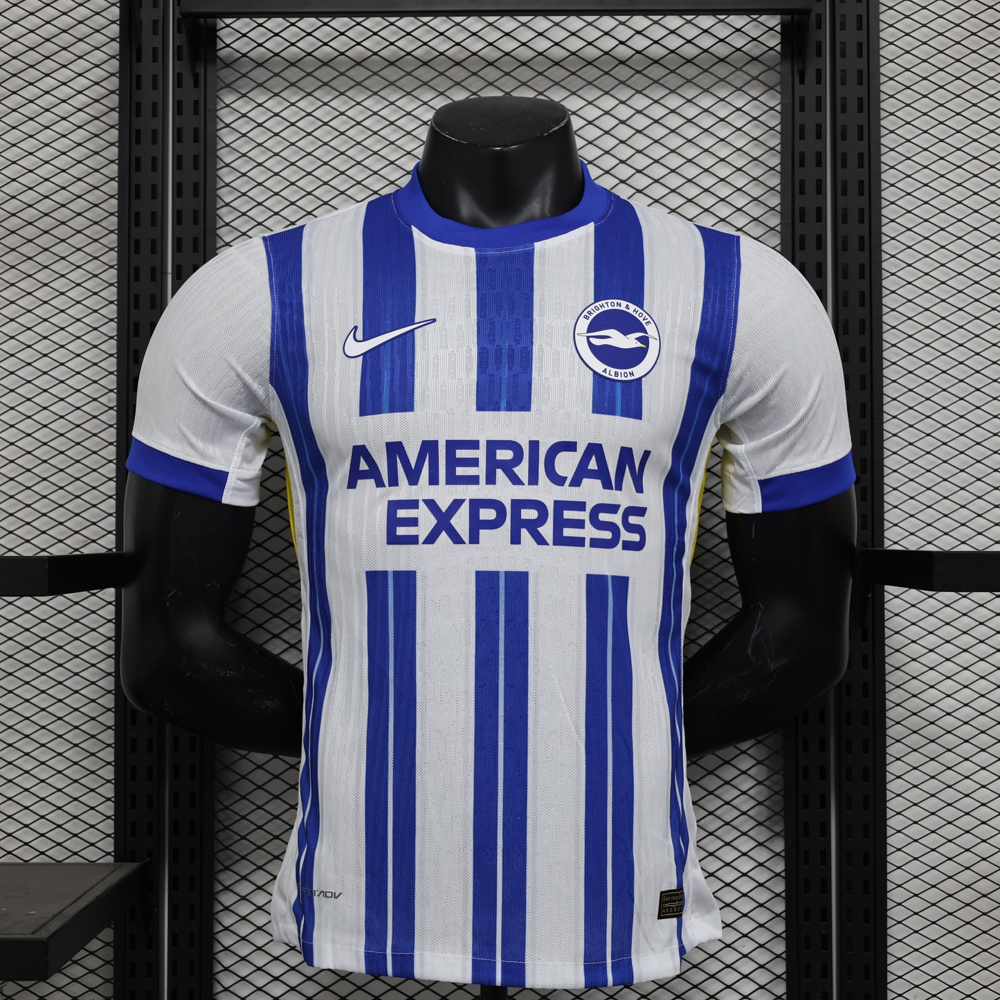 Brighton FC 2024/25 Home Jersey