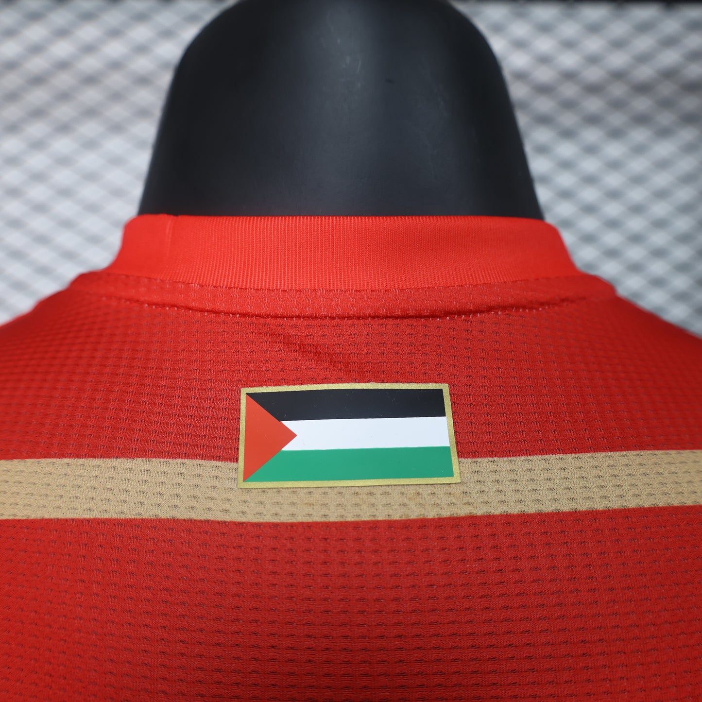 Palestine National Team Home/Away Jersey