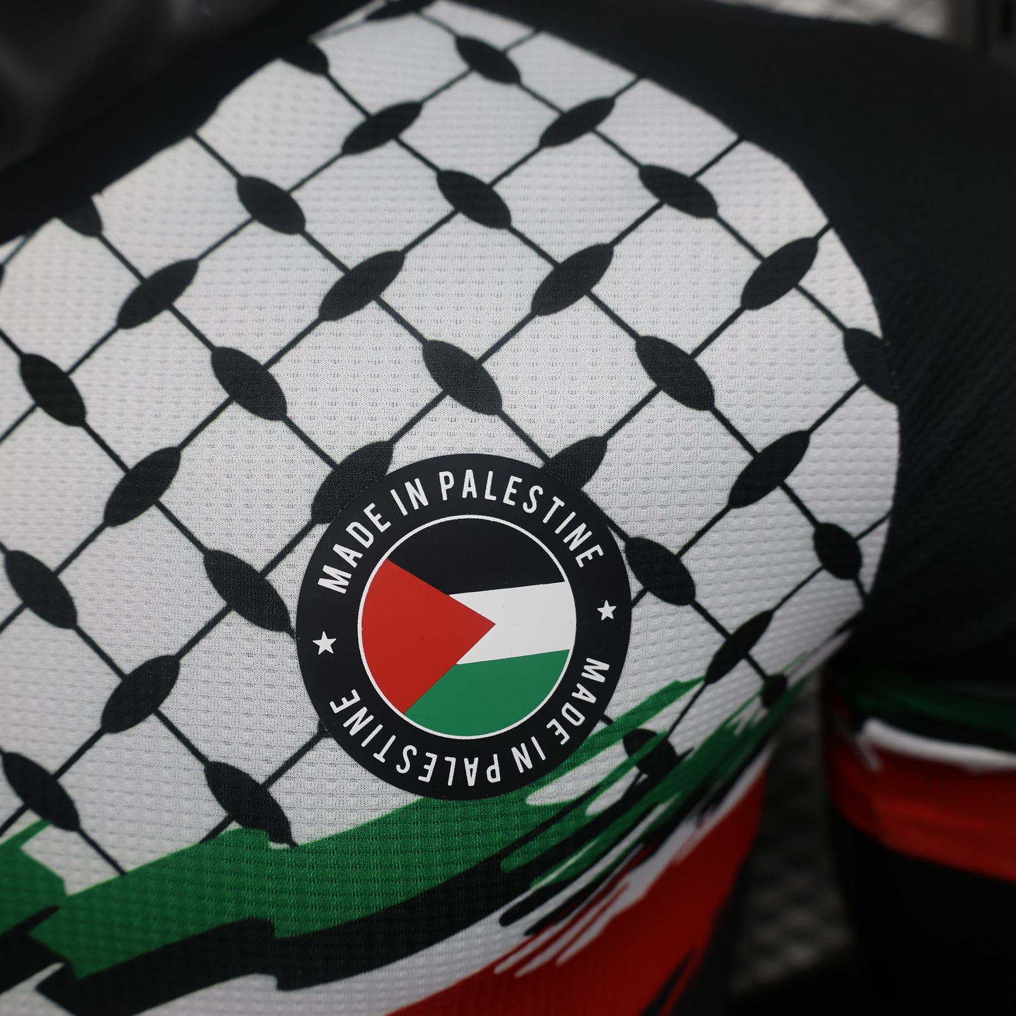 Palestine National Team Home/Away Jersey