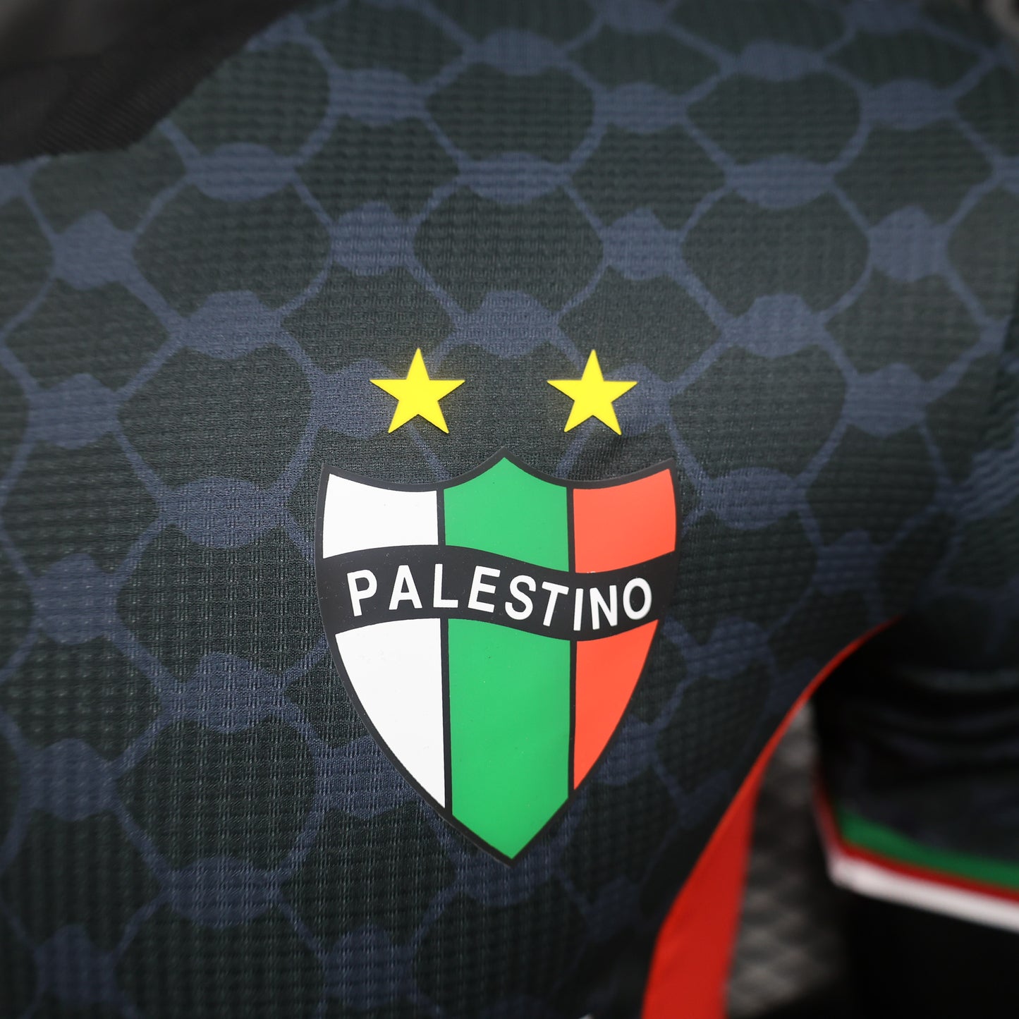 Palestine National Team Home/Away Jersey