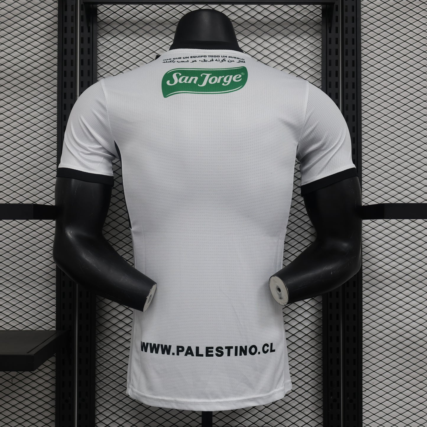 Palestine National Team Home/Away Jersey