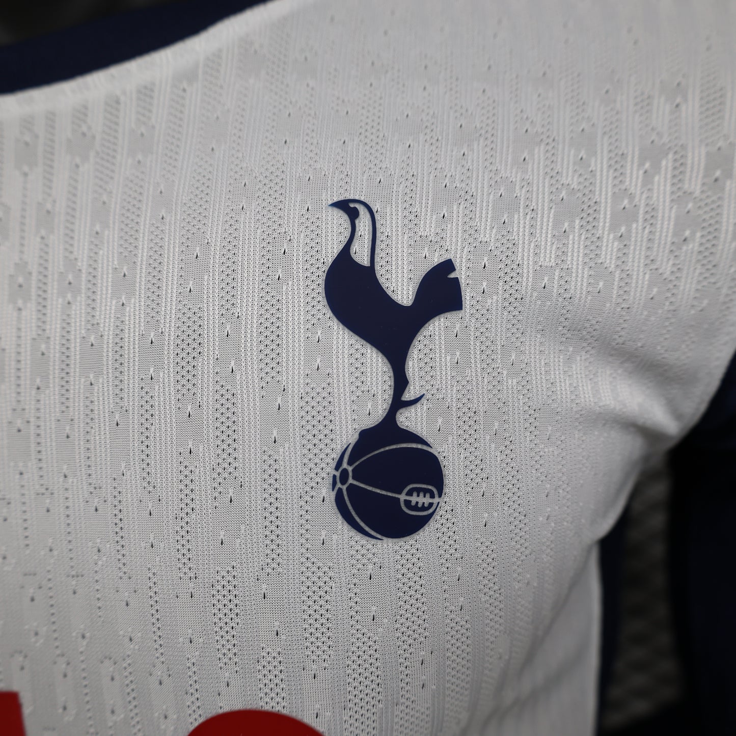 Tottenham Hotspur 2024/25 Home/Away Jersey